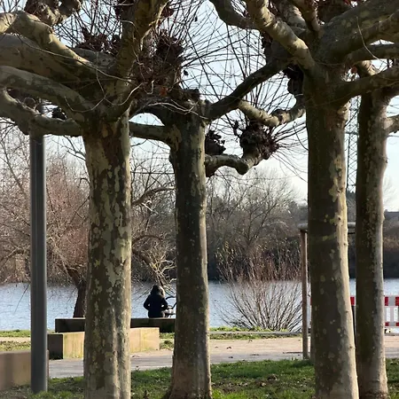 Art And Elegance, Family Friendly 2bedroom Near Frankfurt Airport, Free Parking