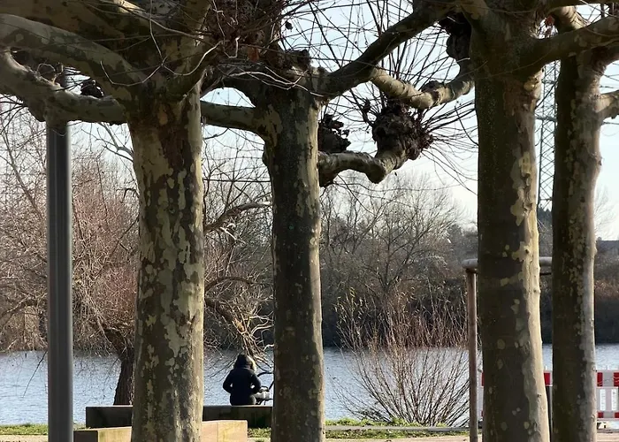 Art And Elegance, Family Friendly 2bedroom Near Frankfurt Airport, Free Parking Floersheim am Main