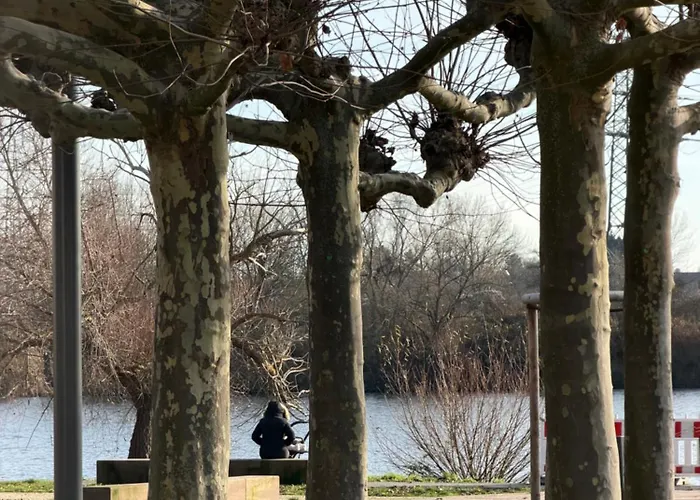 Art And Elegance, Family Friendly 2bedroom Near Frankfurt Airport, Free Parking